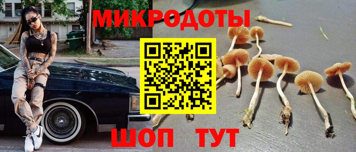 Сосновый Бор  Галлюциногенные грибы GOLDEN TEACHER  Вход с VPN  Галлюциногенные грибы Psilocybe 