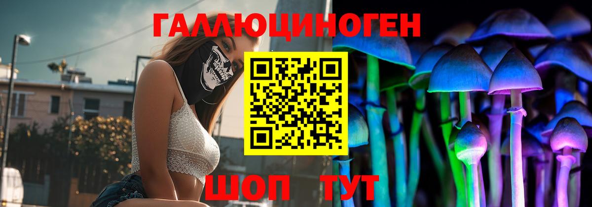 Галлюциногенные грибы мицелий Сосновый Бор